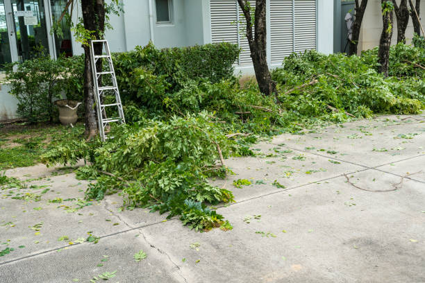 Best Lawn Grading and Leveling  in Belleville, PA
